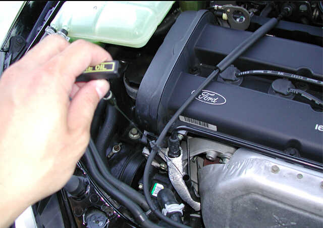 How to Check and Restore Ford Focus Engine Oil Level (3)